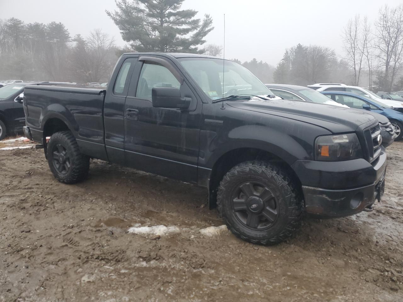 2008 Ford F-150 VIN 1FTRF14W88KE05761 Copart auction photo, side damage thumbnail 4