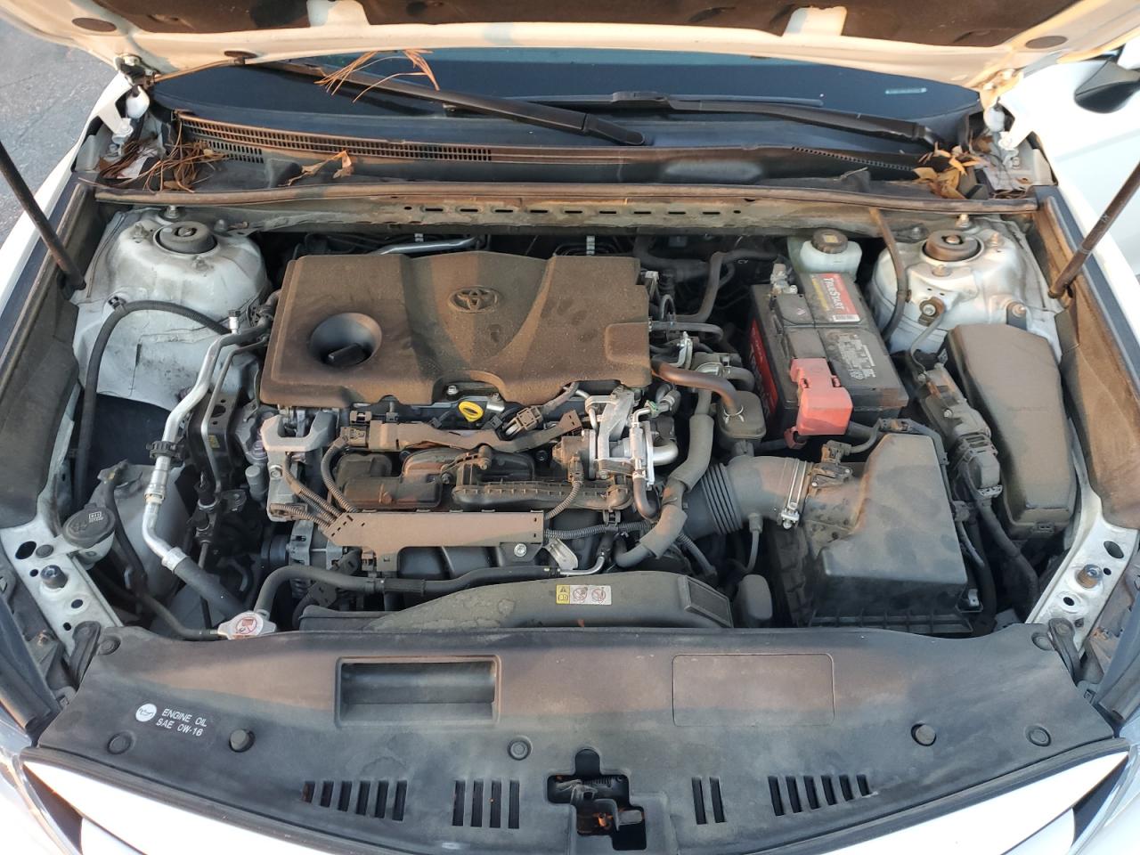2018 Toyota Camry VIN JTNB11HK5J3010231 Copart auction photo, rear end / front end damage thumbnail 11