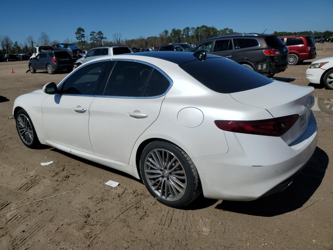 2019 Alfa Romeo Giulia VIN ZARFAMBN2K7621523 Copart auction photo, front end / minor dent/scratches damage thumbnail 2