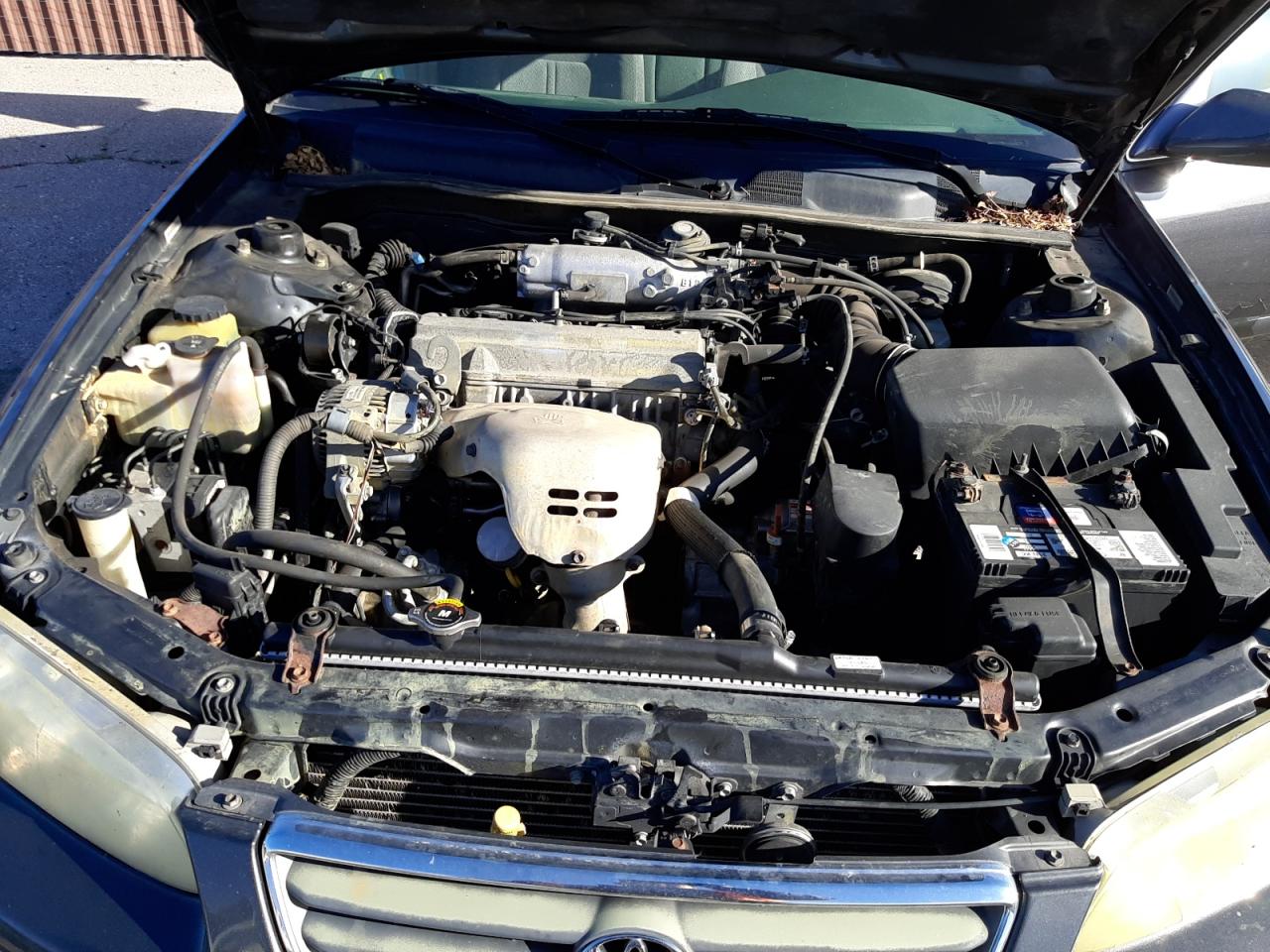 2000 Toyota Camry VIN 4T1BG22K2YU951976 Copart auction photo, side damage thumbnail 11