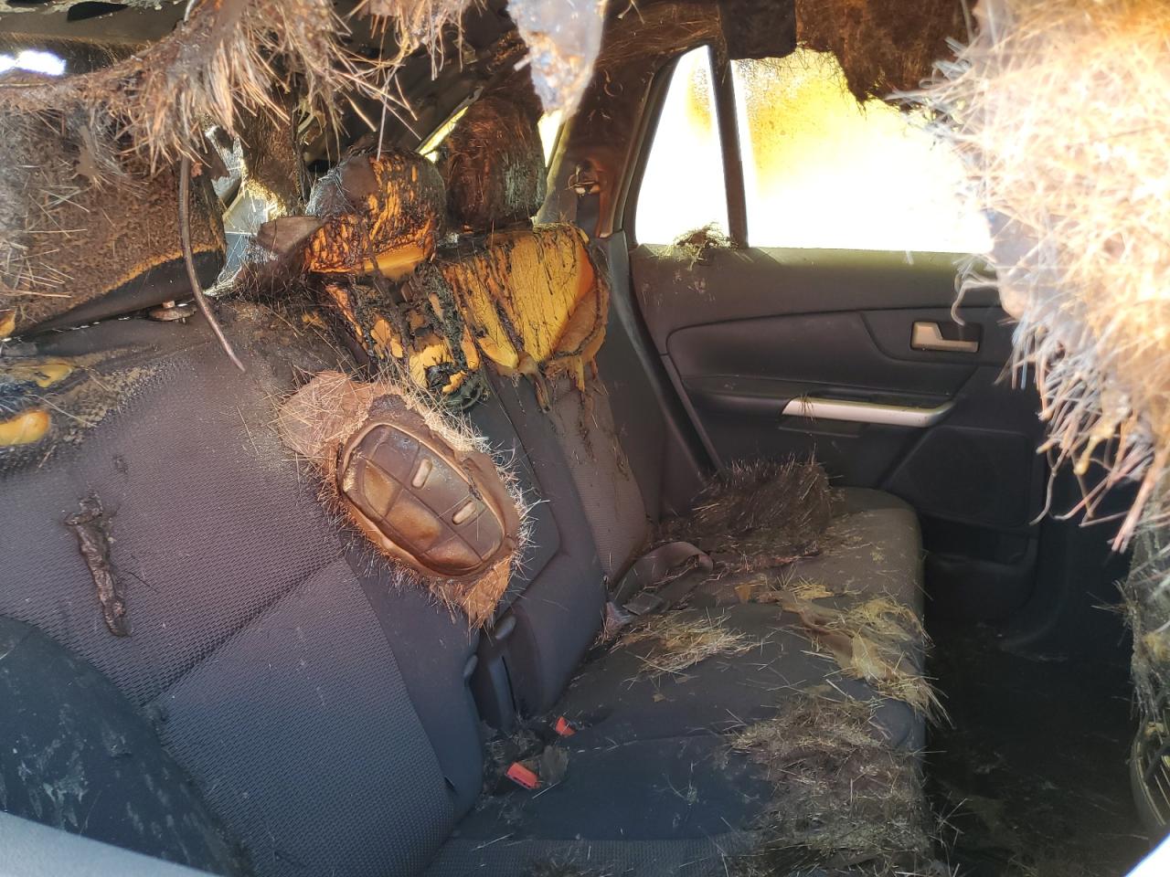 2013 Ford Edge VIN 2FMDK3JCXDBC29663 Copart auction photo, burn / all over damage thumbnail 11