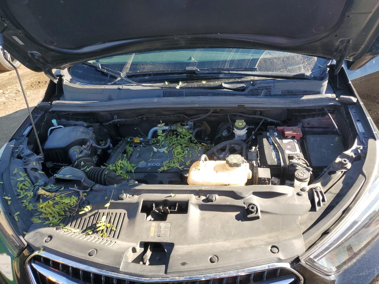 2017 Buick Encore VIN KL4CJFSB6HB017889 Copart auction photo, hail damage thumbnail 12