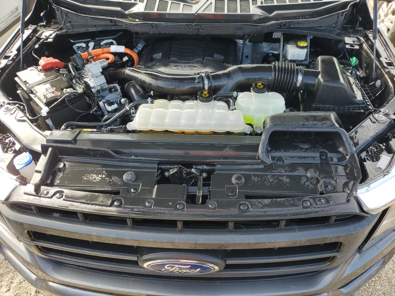 2022 Ford F-150 VIN 1FTFW1EDXNFB24209 Copart auction photo, water/flood damage thumbnail 11