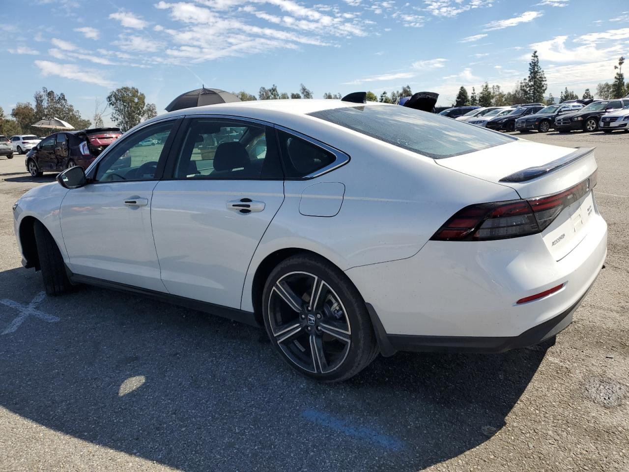 2024 Honda Accord VIN 1HGCY2F59RA092562 Copart auction photo, side damage thumbnail 2