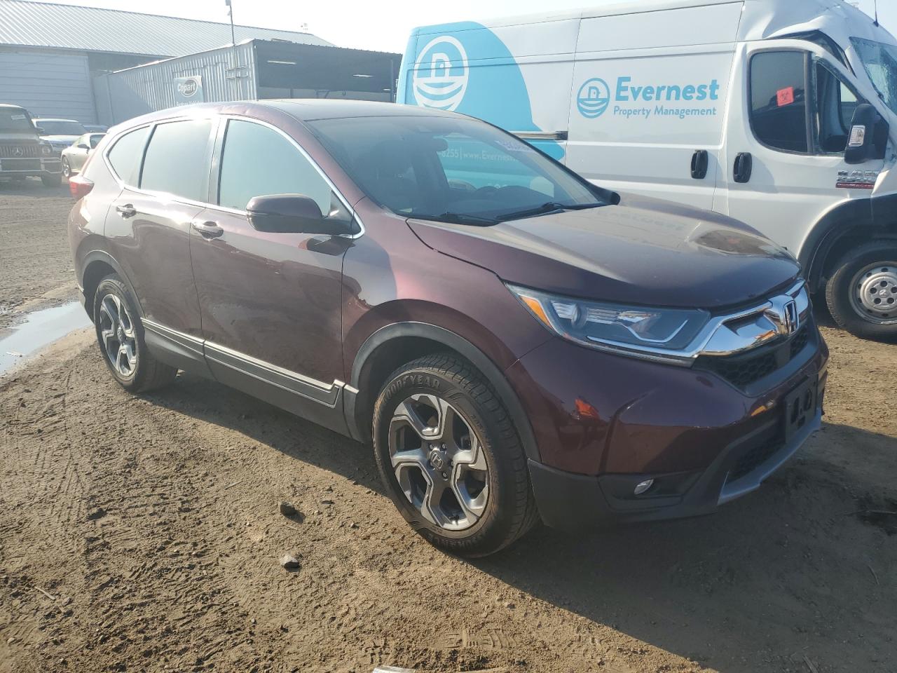 2018 Honda CR-V VIN 2HKRW2H59JH689932 Copart auction photo, hail damage thumbnail 4