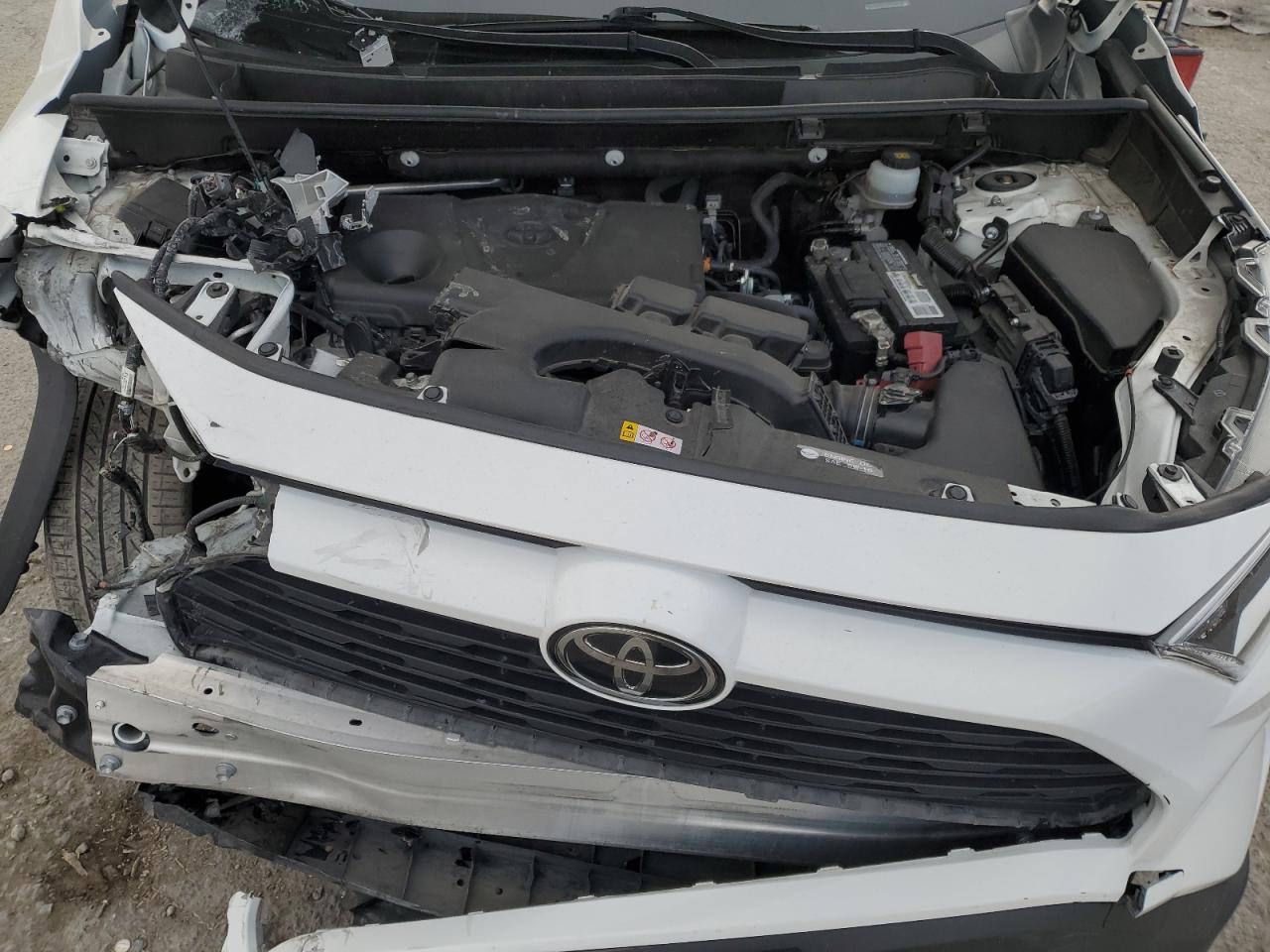 2019 Toyota RAV 4 VIN JTMC1RFV7KD516286 Copart auction photo, front end damage thumbnail 12