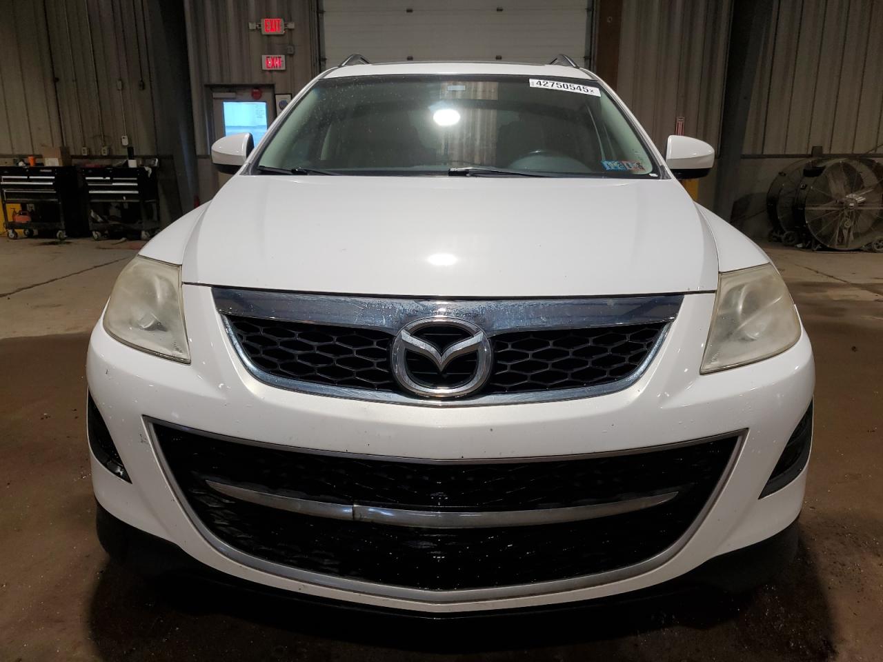 2011 Mazda CX-9 VIN JM3TB2CA6B0302376 Copart auction photo, side / minor dent/scratches damage thumbnail 5