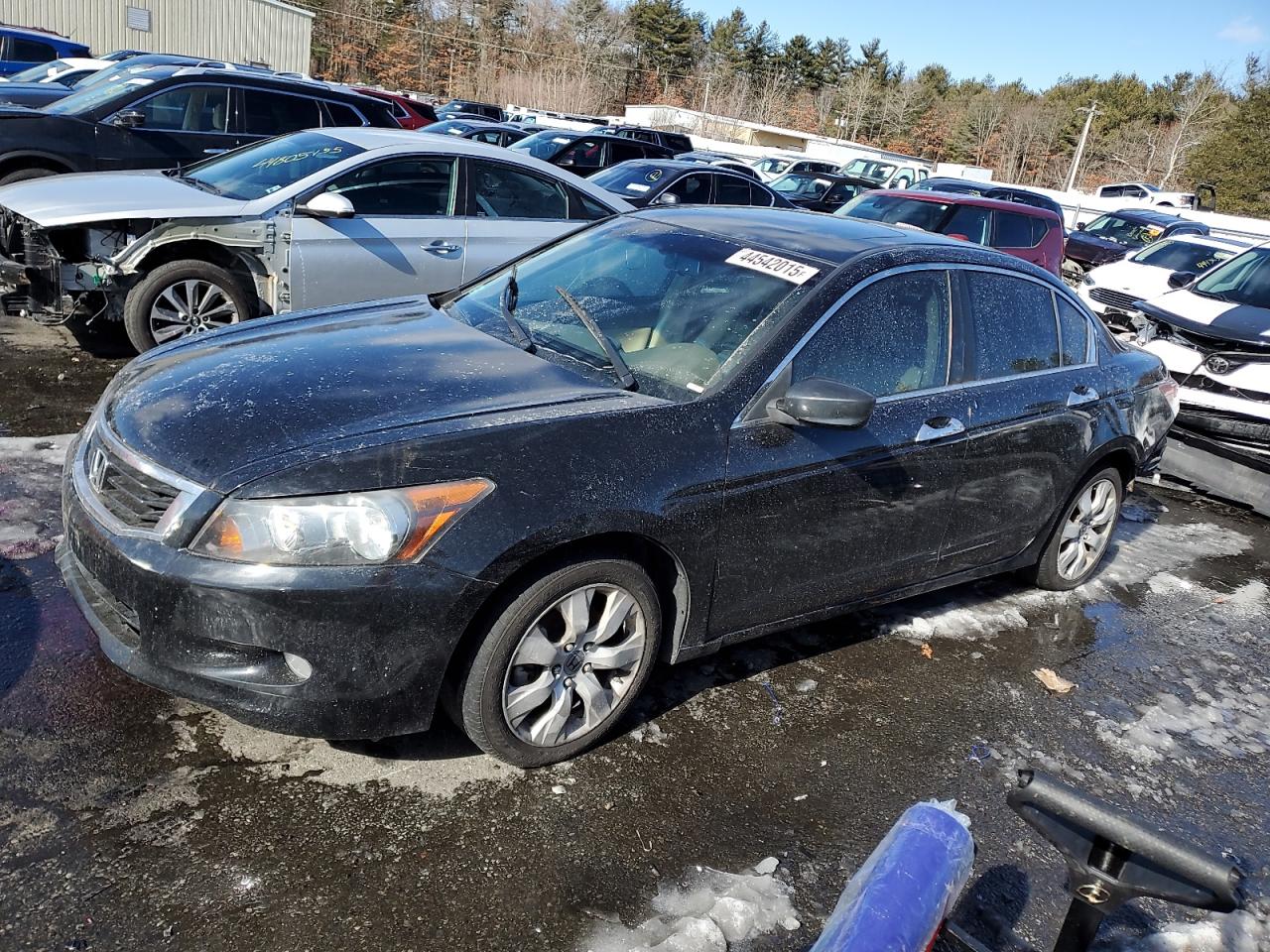 2009 Honda Accord VIN 5KBCP36869B501062