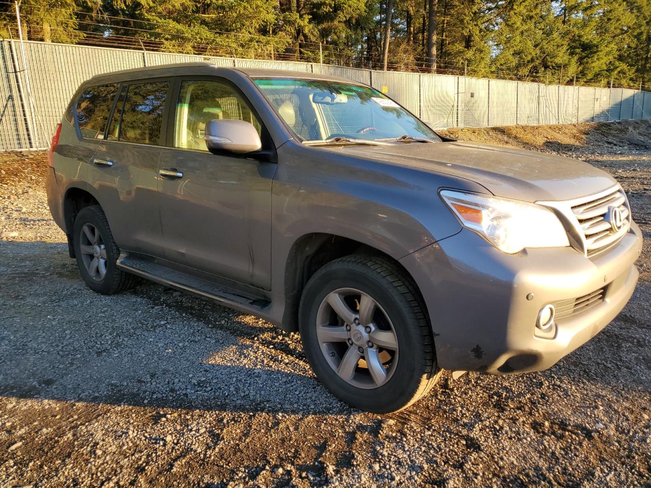 2010 Lexus GX VIN JTJBM7FX9A5013387 Copart auction photo, minor dent/scratches damage thumbnail 4