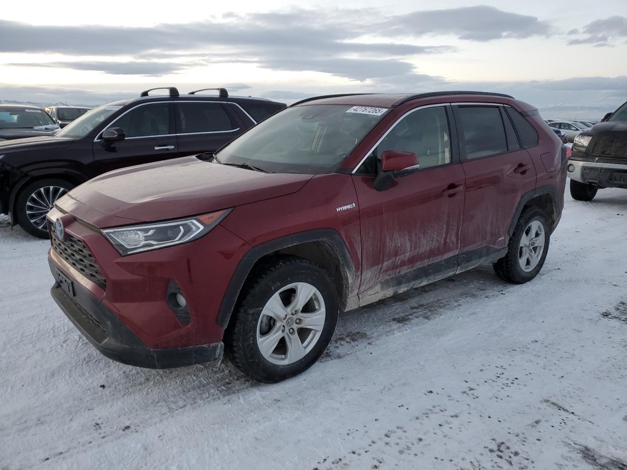 2019 Toyota RAV 4 VIN JTMRWRFV2KD035406