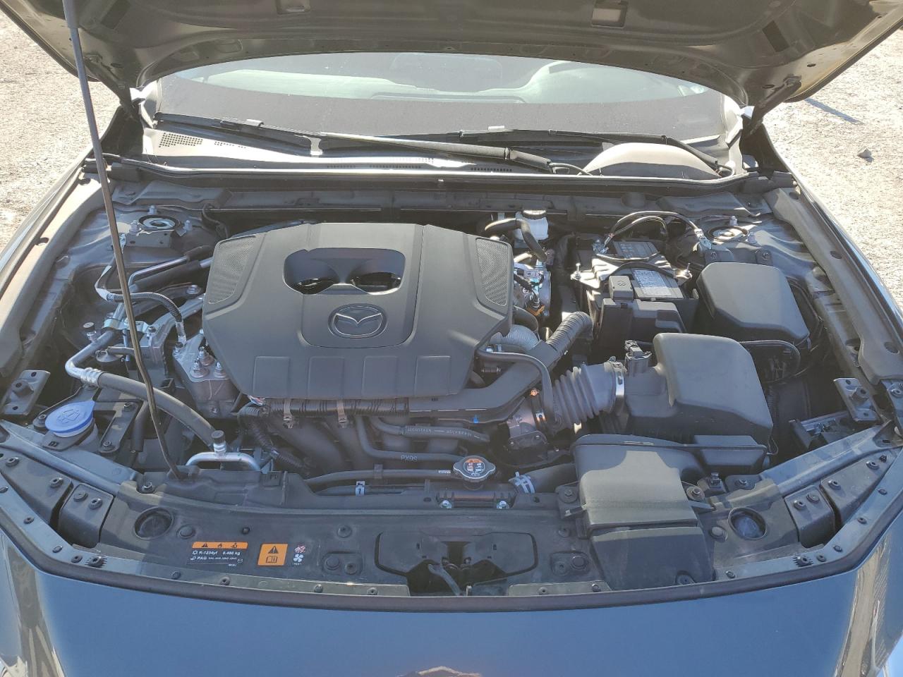 2023 Mazda 3 VIN 3MZBPABM2PM384135 Copart auction photo, side damage thumbnail 12