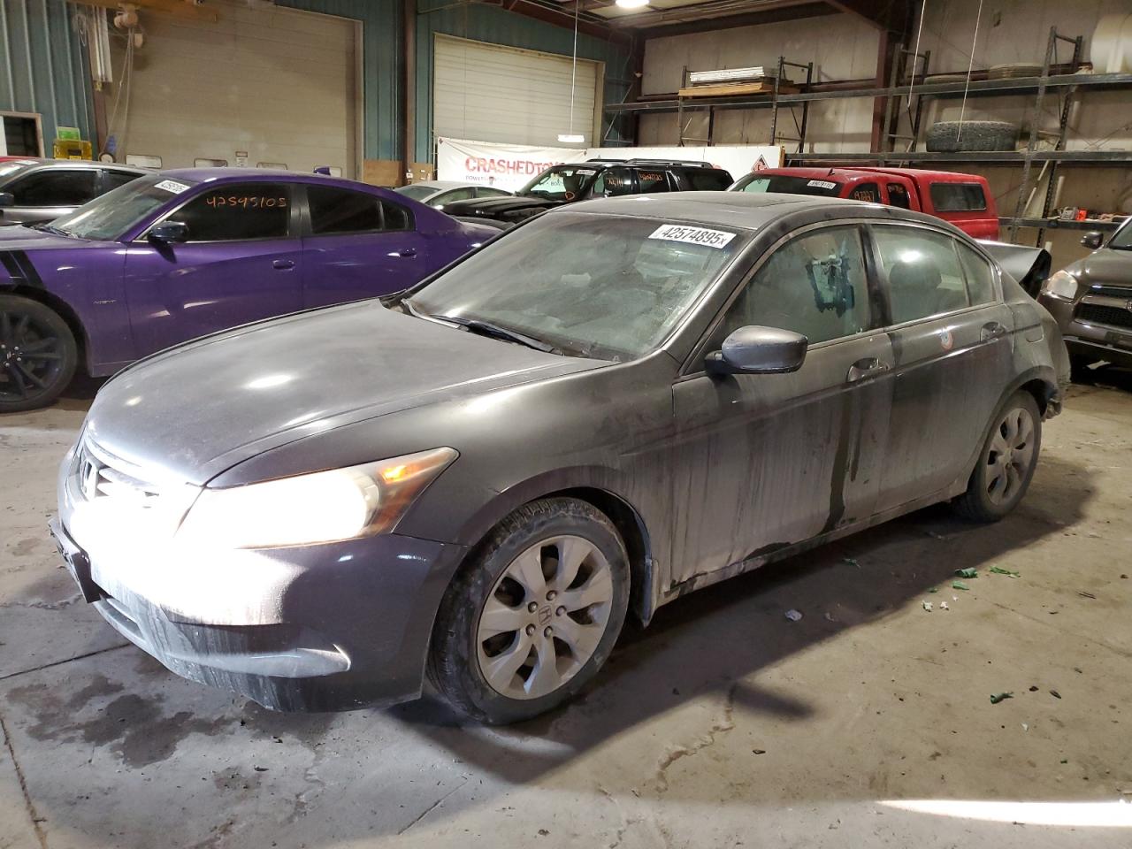 2010 Honda Accord VIN 1HGCP2F85AA170868