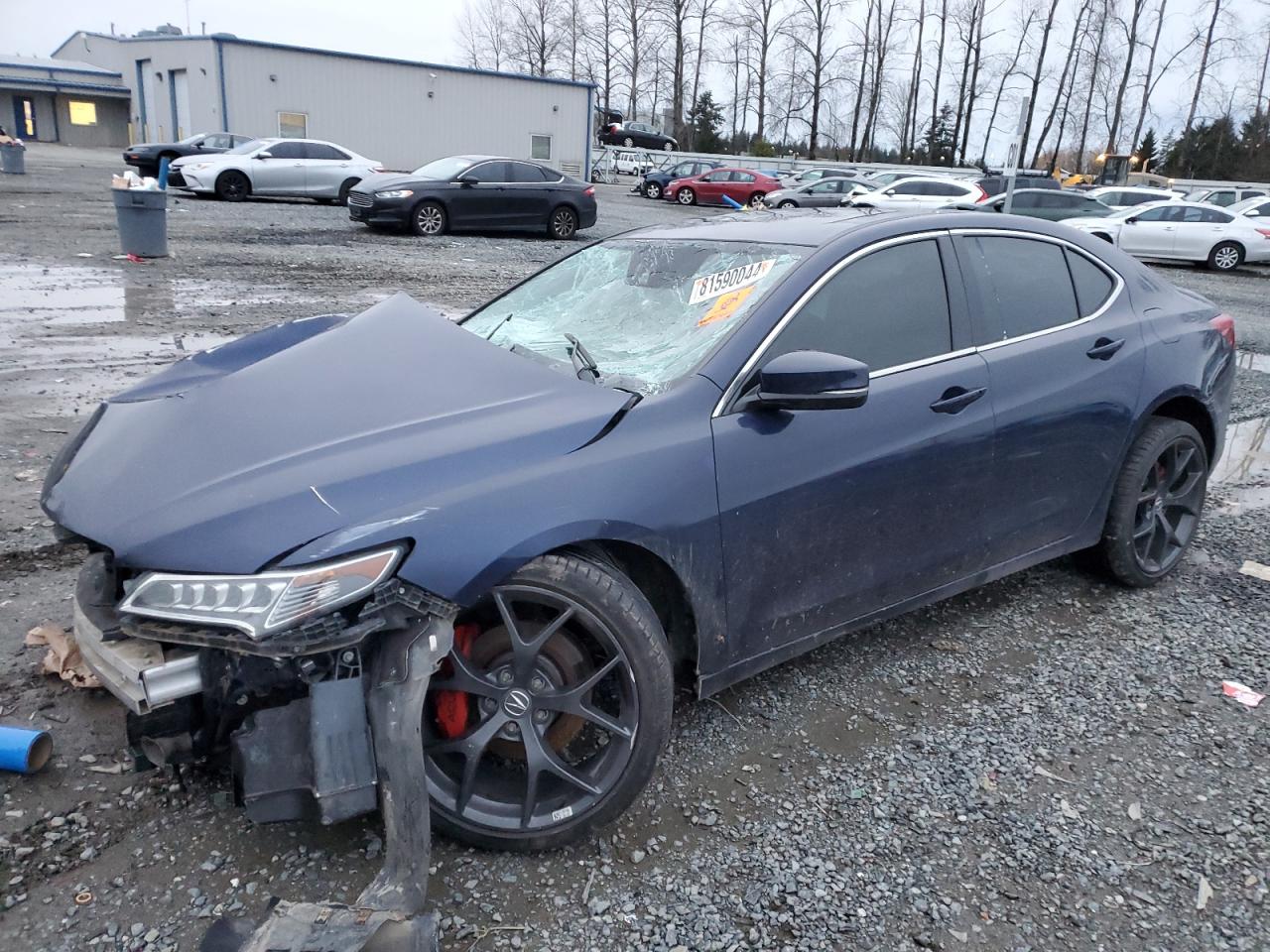 2016 Acura TLX VIN 19UUB2F55GA009437