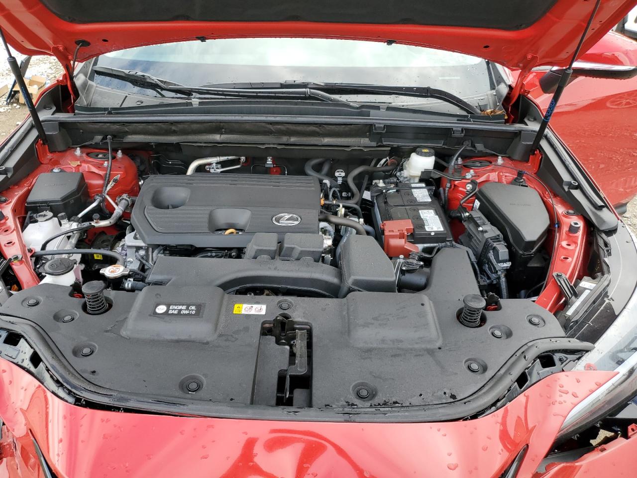 2024 Lexus NX VIN 2T2ADCAZ1RC015158 Copart auction photo, front end damage thumbnail 12
