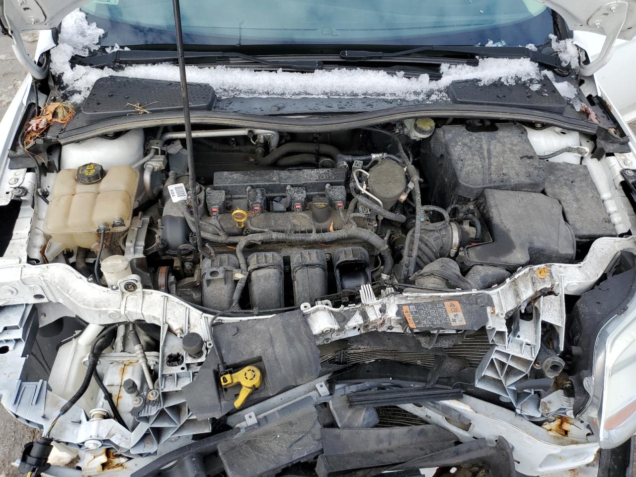 2014 Ford Focus VIN 1FADP3F20EL424278 Copart auction photo, front end / minor dent/scratches damage thumbnail 11