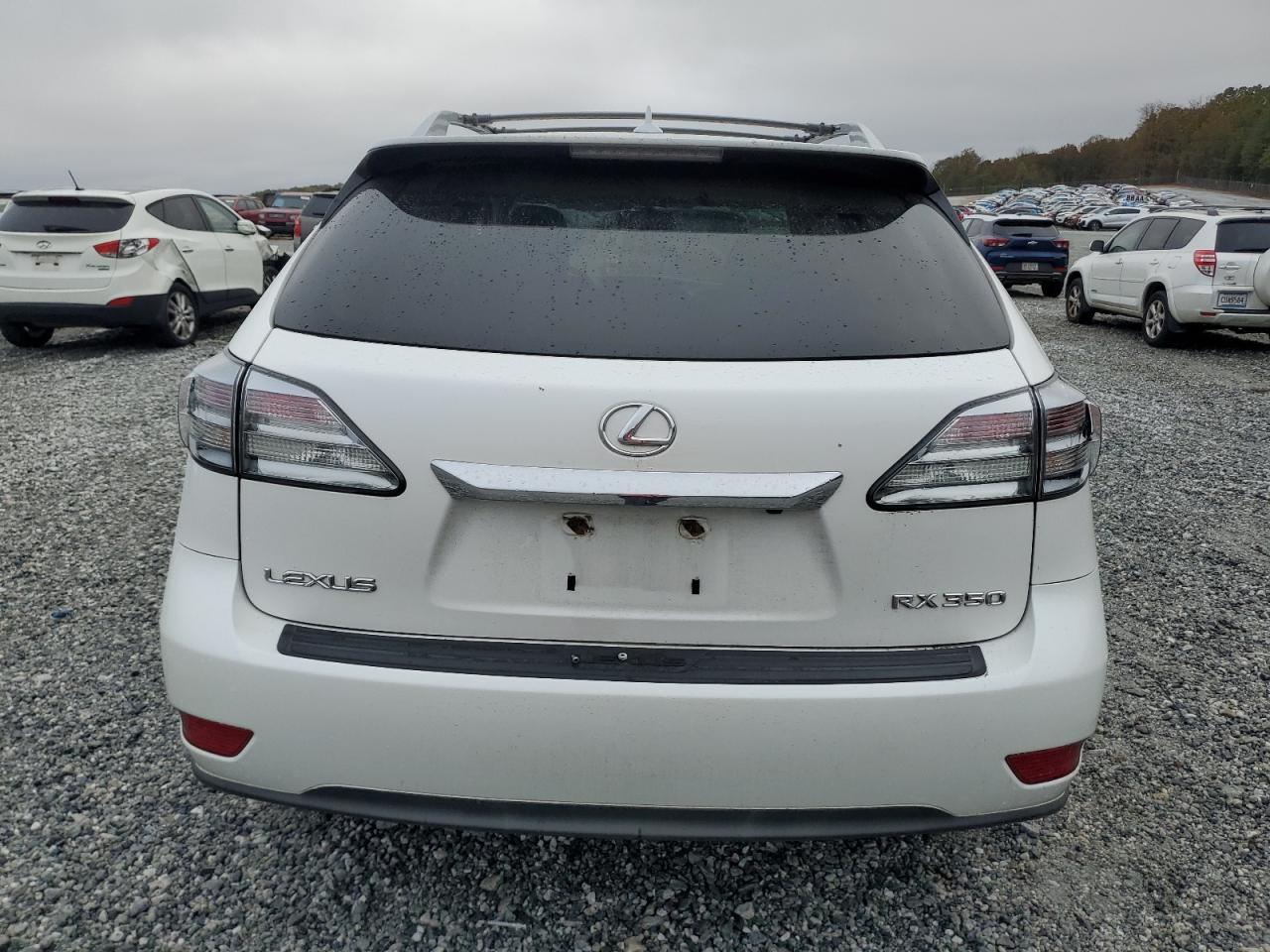 2010 Lexus RX VIN 2T2ZK1BA8AC002854 Copart auction photo, side damage thumbnail 6
