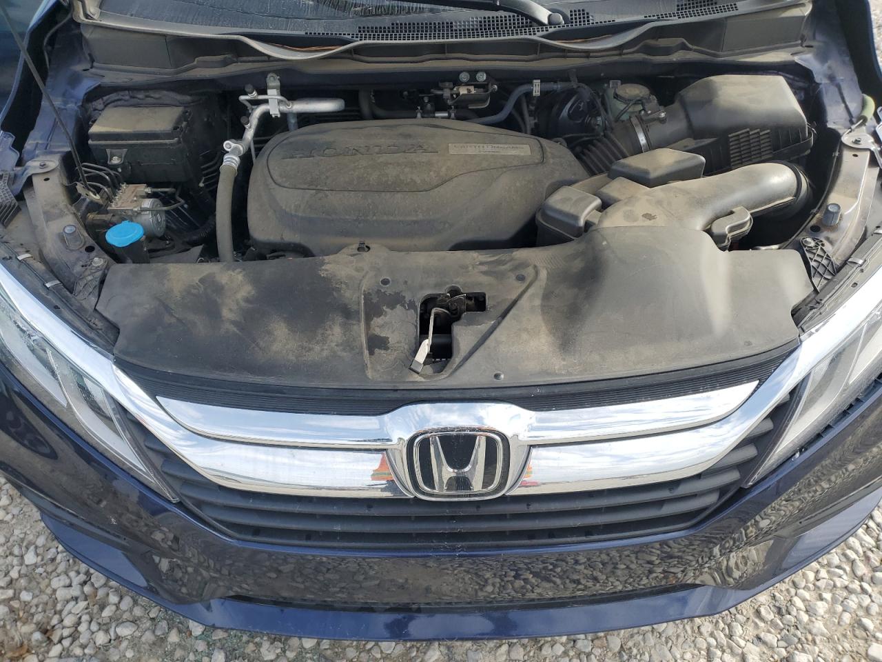 2019 Honda Odyssey VIN 5FNRL6H71KB075863 Copart auction photo, side damage thumbnail 12