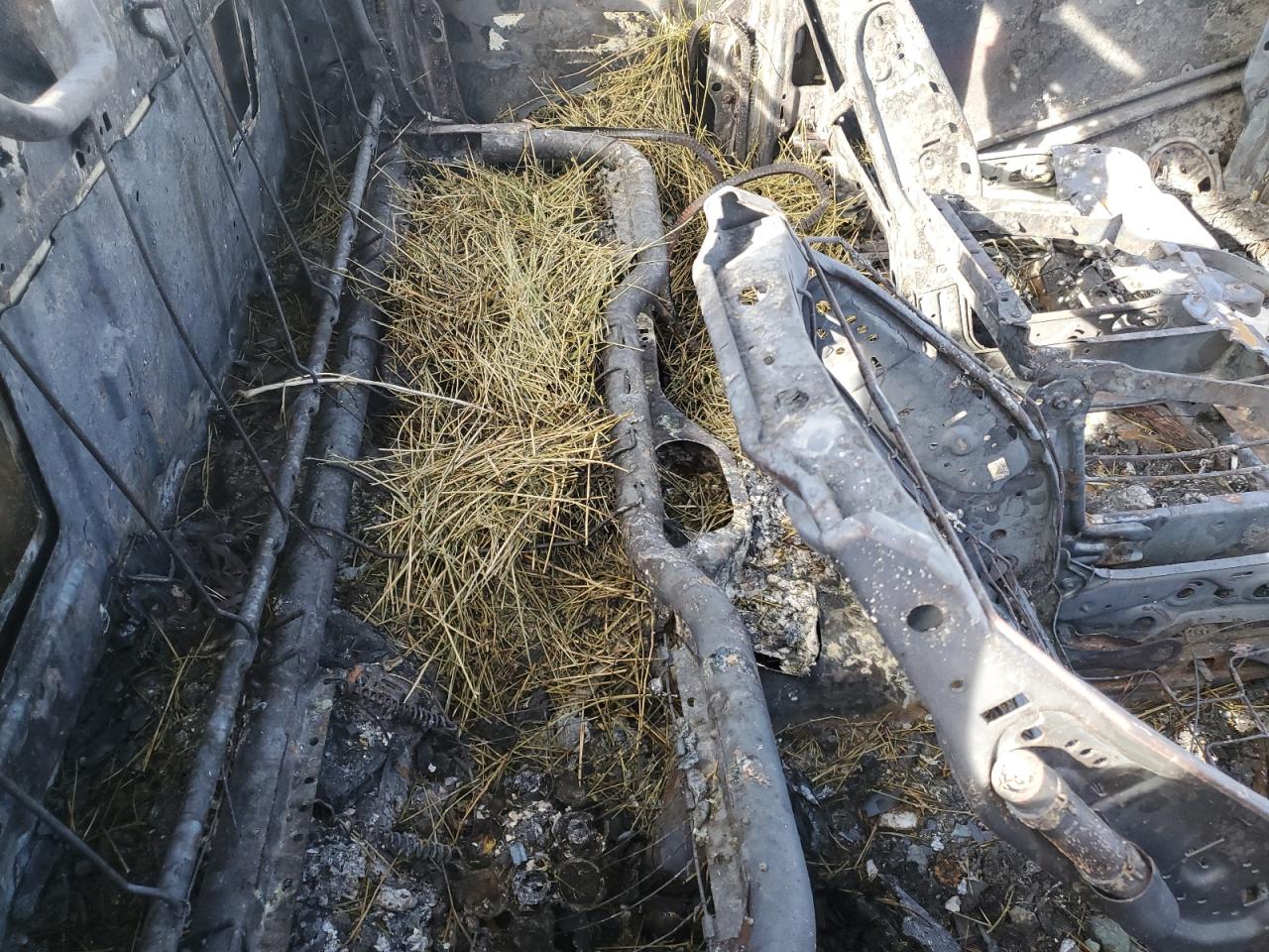 2015 RAM 1500 VIN 1C6RR7FT8FS679205 Copart auction photo, burn damage thumbnail 10