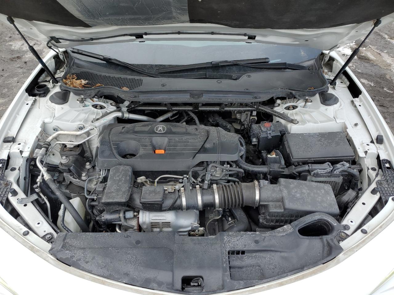 2021 Acura TLX VIN 19UUB5F3XMA000809 Copart auction photo, minor dent/scratches damage thumbnail 11