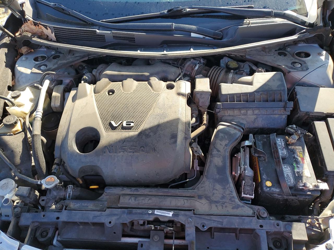 2020 Nissan Maxima VIN 1N4AA6CV6LC361639 Copart auction photo, side damage thumbnail 11