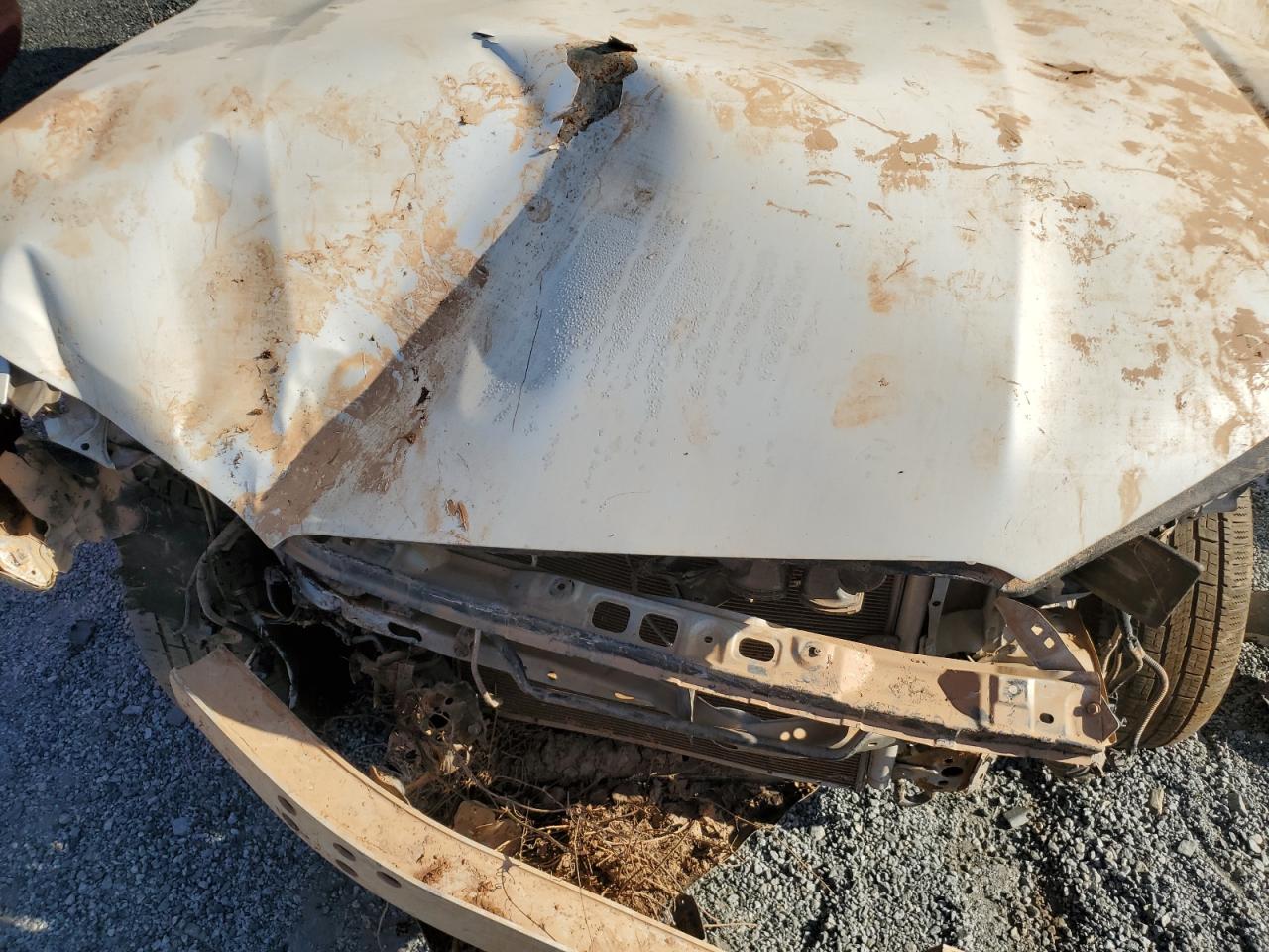 2011 Toyota 4Runner VIN JTEBU5JR7B5073049 Copart auction photo, water/flood damage thumbnail 13