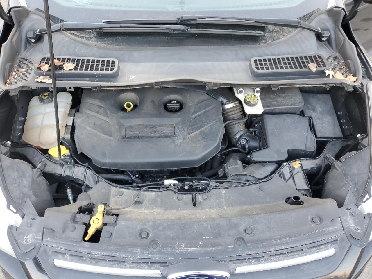 2014 Ford Escape VIN 1FMCU9G97EUC72597 Copart auction photo, rear end damage thumbnail 12
