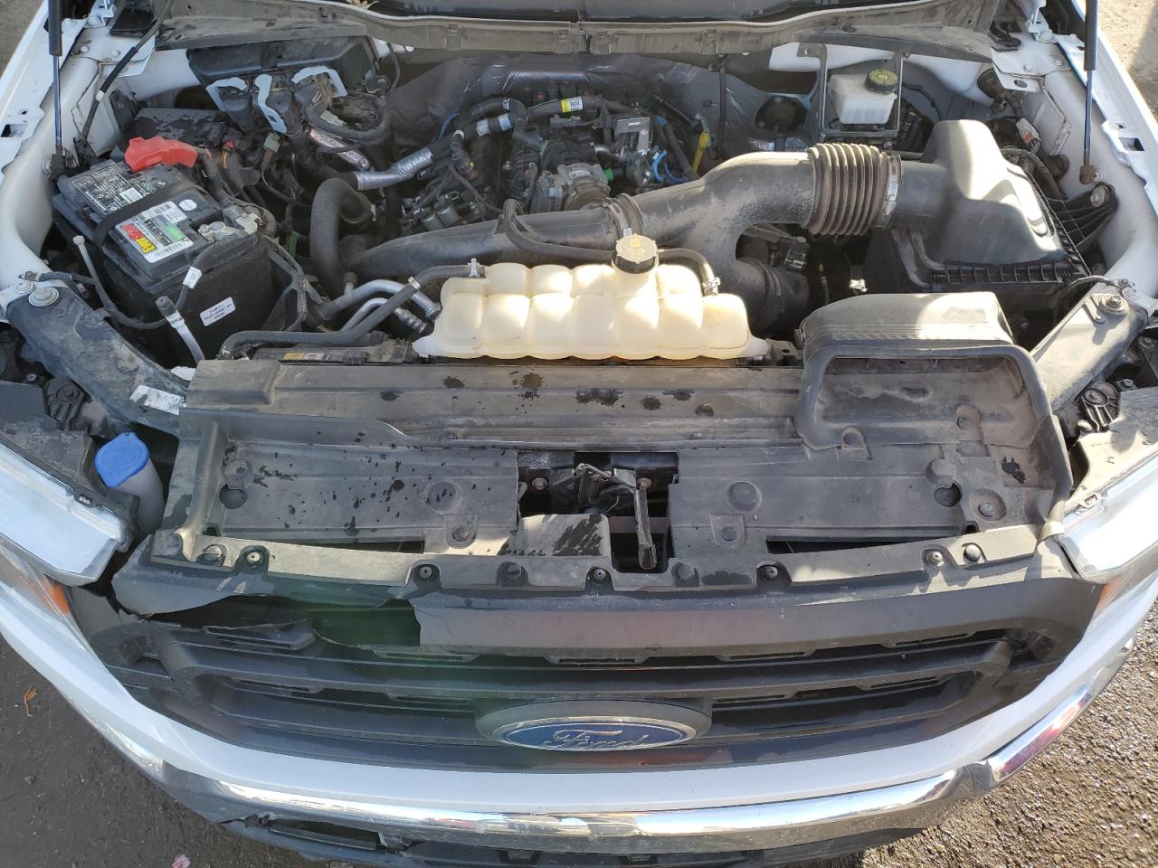 2021 Ford F-150 VIN 1FTMF1EPXMKD82902 Copart auction photo, all over damage thumbnail 11