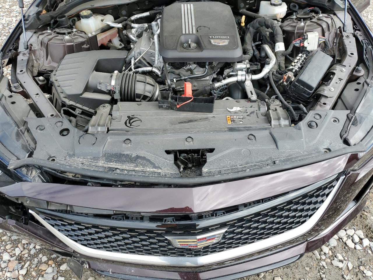 2021 Cadillac CT5 VIN 1G6DW5RK0M0118012 Copart auction photo, side / front end damage thumbnail 12