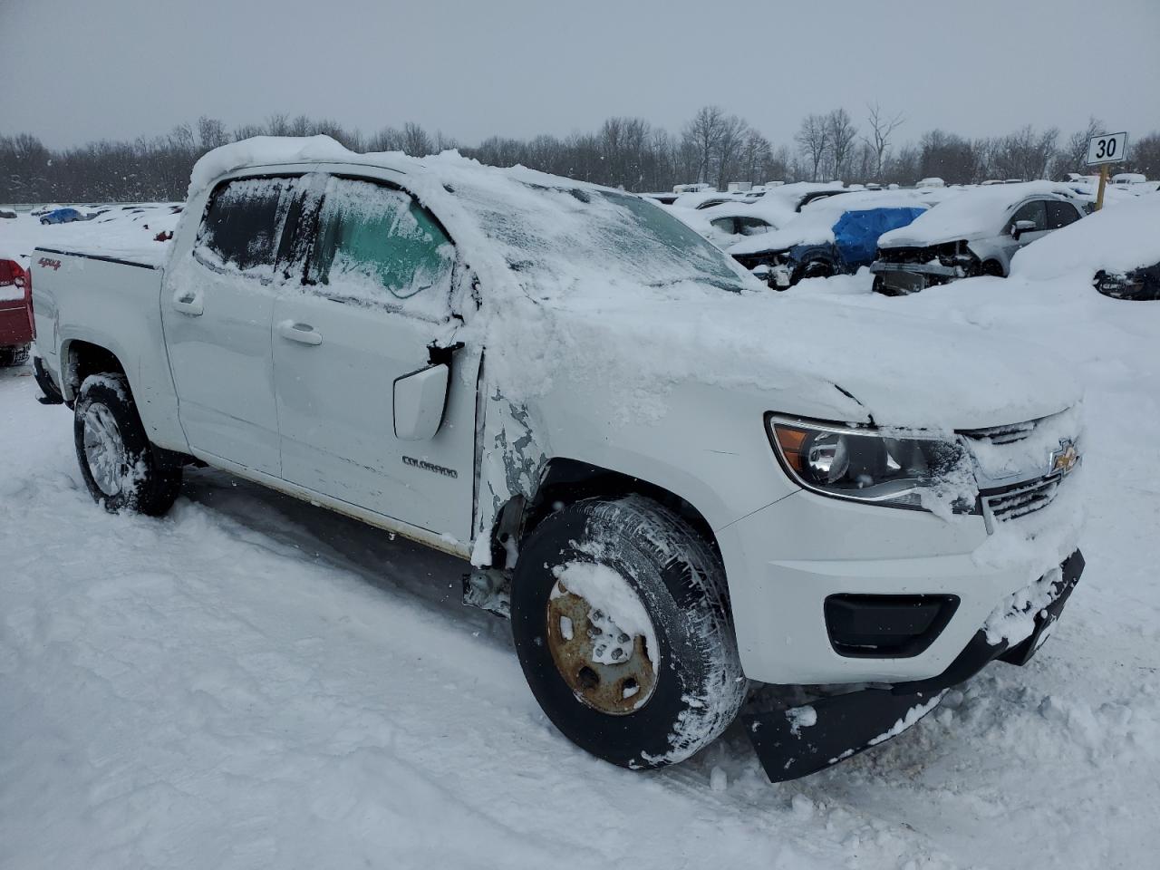 2017 Chevrolet Colorado VIN 1GCGTCEN2H1190188 Copart auction photo, side damage thumbnail 4