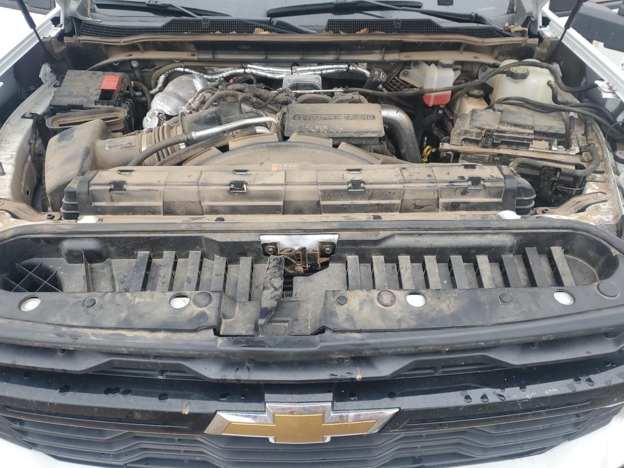 2024 Chevrolet Silverado VIN 1GC4YSEY8RF271077 Copart auction photo, side damage thumbnail 13