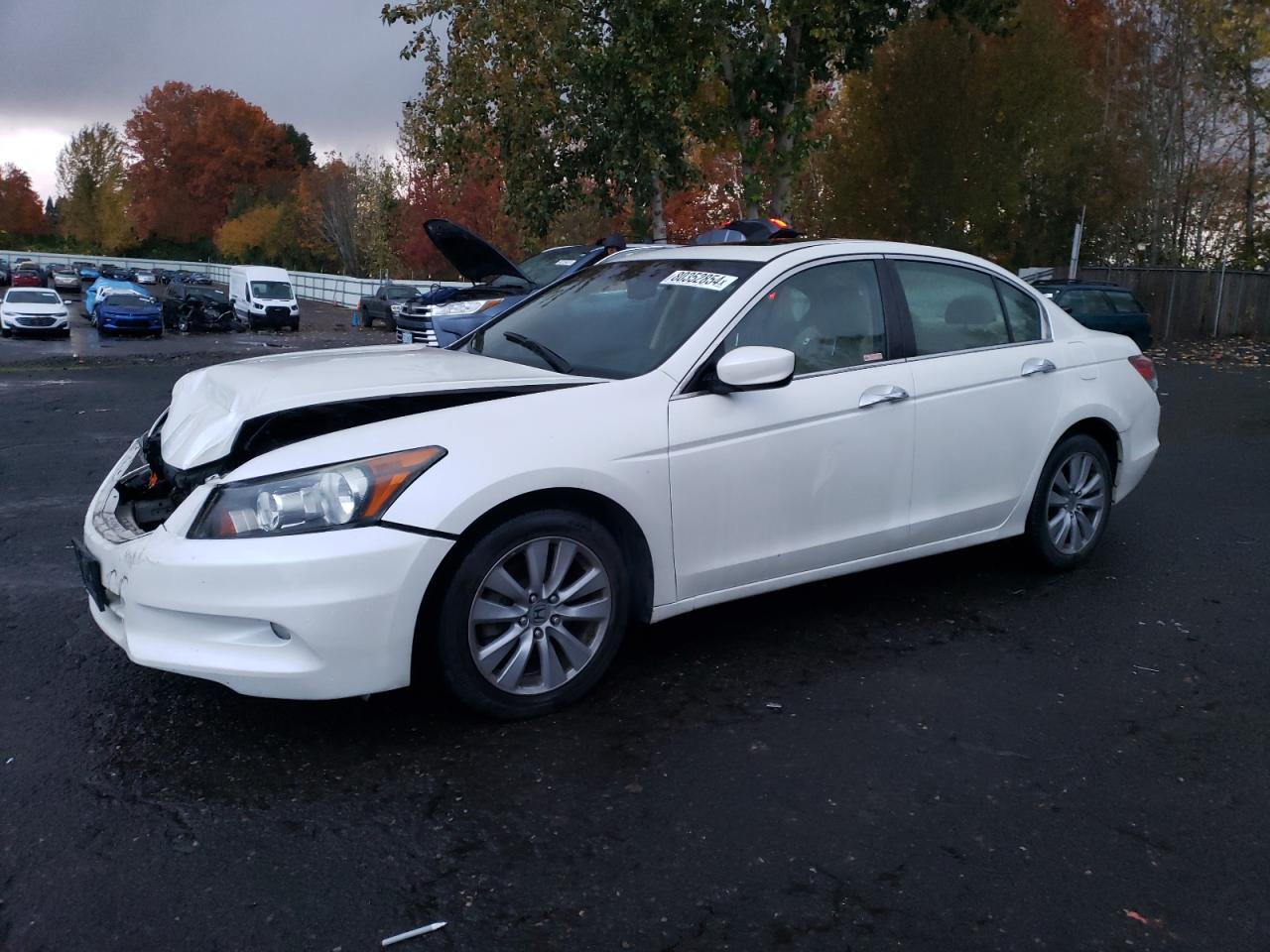 2011 Honda Accord VIN 1HGCP3F84BA008222