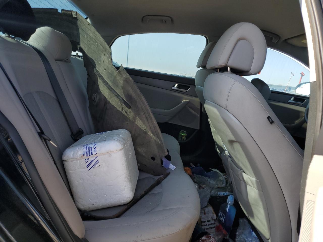 2016 Hyundai Sonata VIN 5NPE24AF8GH395178 Copart auction photo, burn damage thumbnail 10