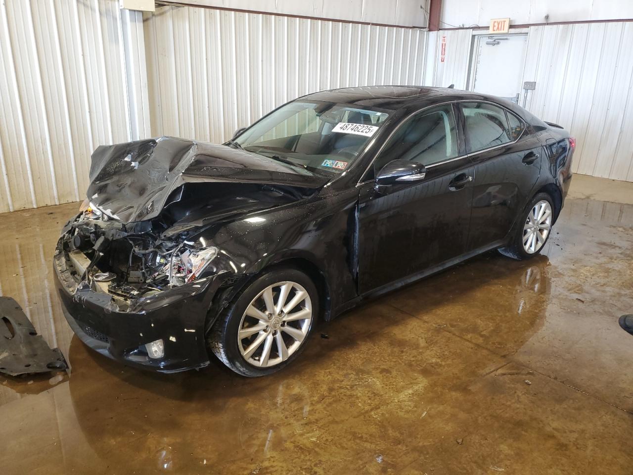 2009 Lexus IS VIN JTHCK262895032060 - Copart auction photo