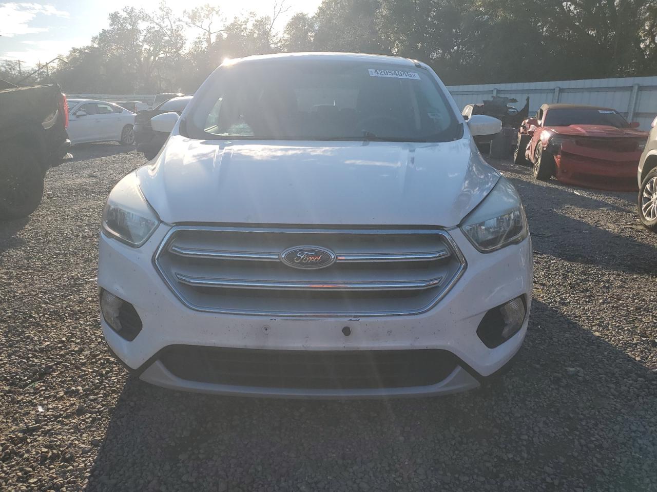 2019 Ford Escape VIN 1FMCU0GD8KUA39226 Copart auction photo, rear end / side damage thumbnail 5