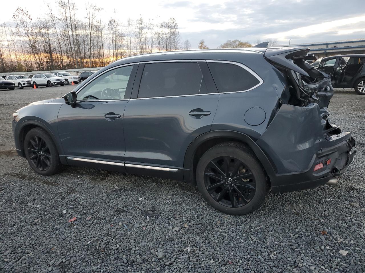 2021 Mazda CX-9 VIN JM3TCBDY1M0538672 Copart auction photo, rear end / side damage thumbnail 2