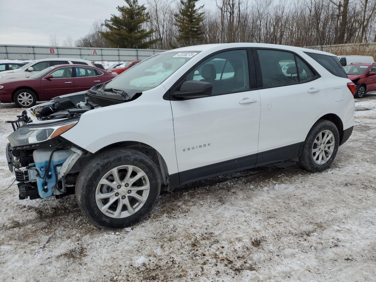 2019 Chevrolet Equinox VIN 2GNAXHEV2K6206196