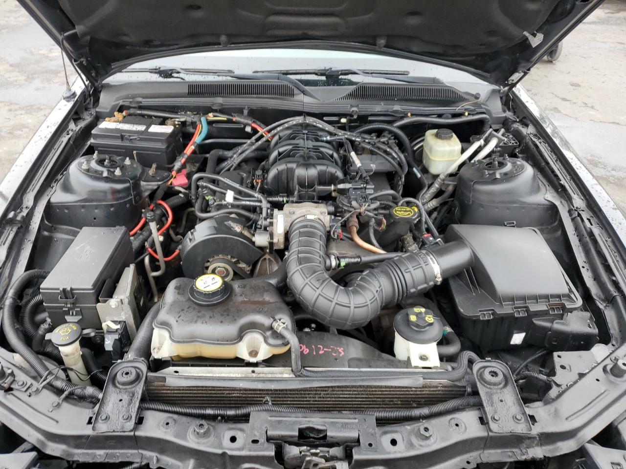 2005 Ford Mustang VIN 1ZVFT80N455187259 Copart auction photo, side / front end damage thumbnail 11