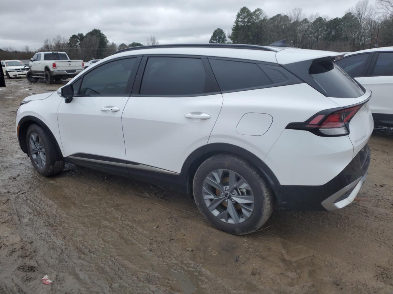 2024 KIA Sportage VIN 5XYK43DF4RG212615 Copart auction photo, water/flood damage thumbnail 2
