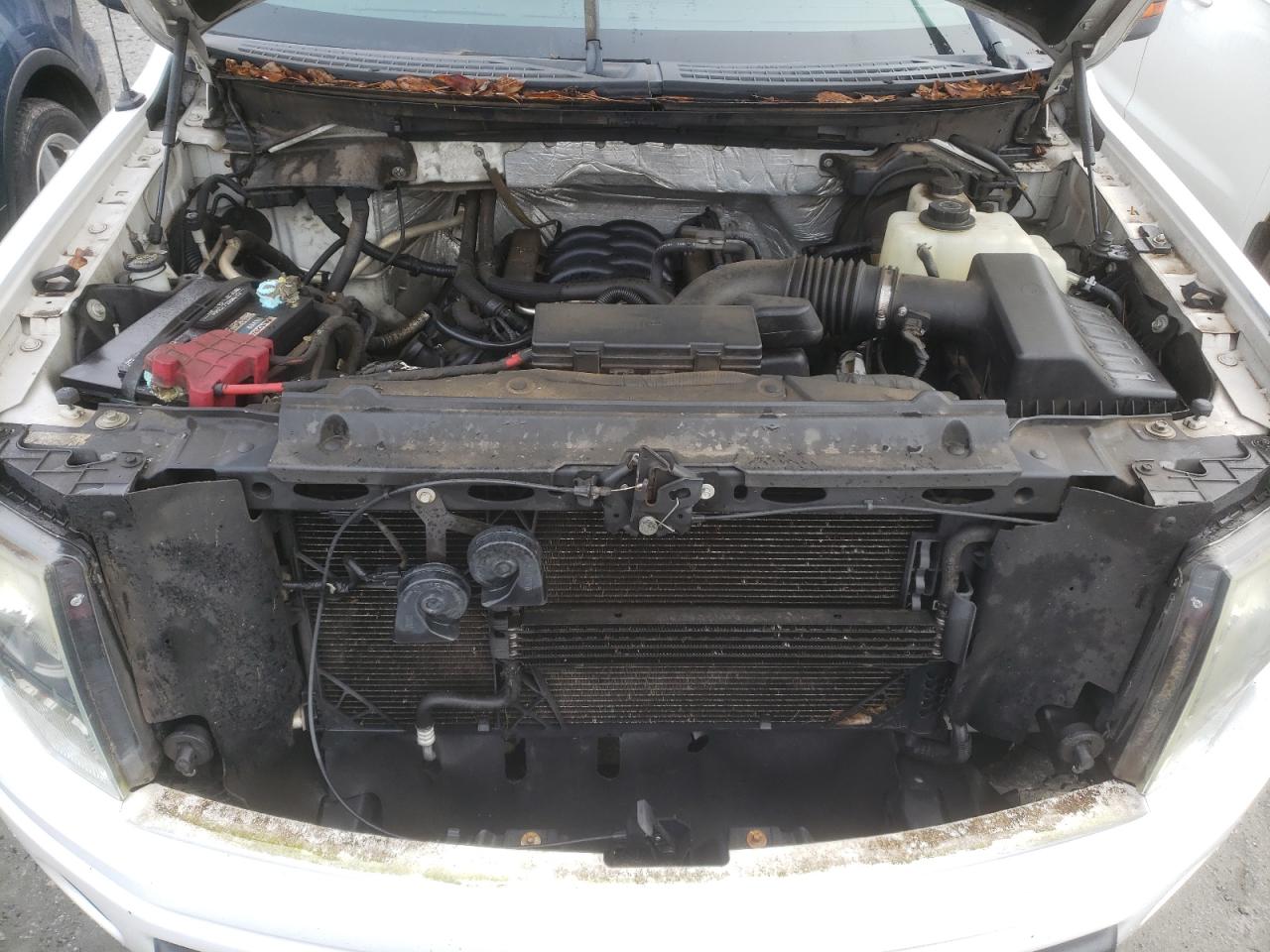 2011 Ford F-150 VIN 1FTFW1EF1BFD01419 Copart auction photo, side / rear end damage thumbnail 12