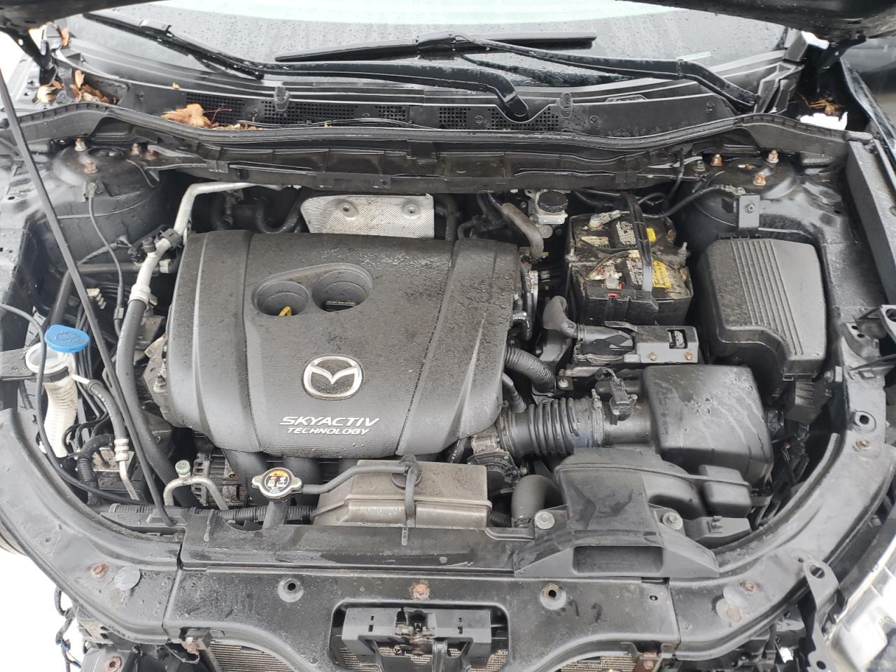 2014 Mazda CX-5 VIN JM3KE4CY8E0403015 Copart auction photo, front end damage thumbnail 12