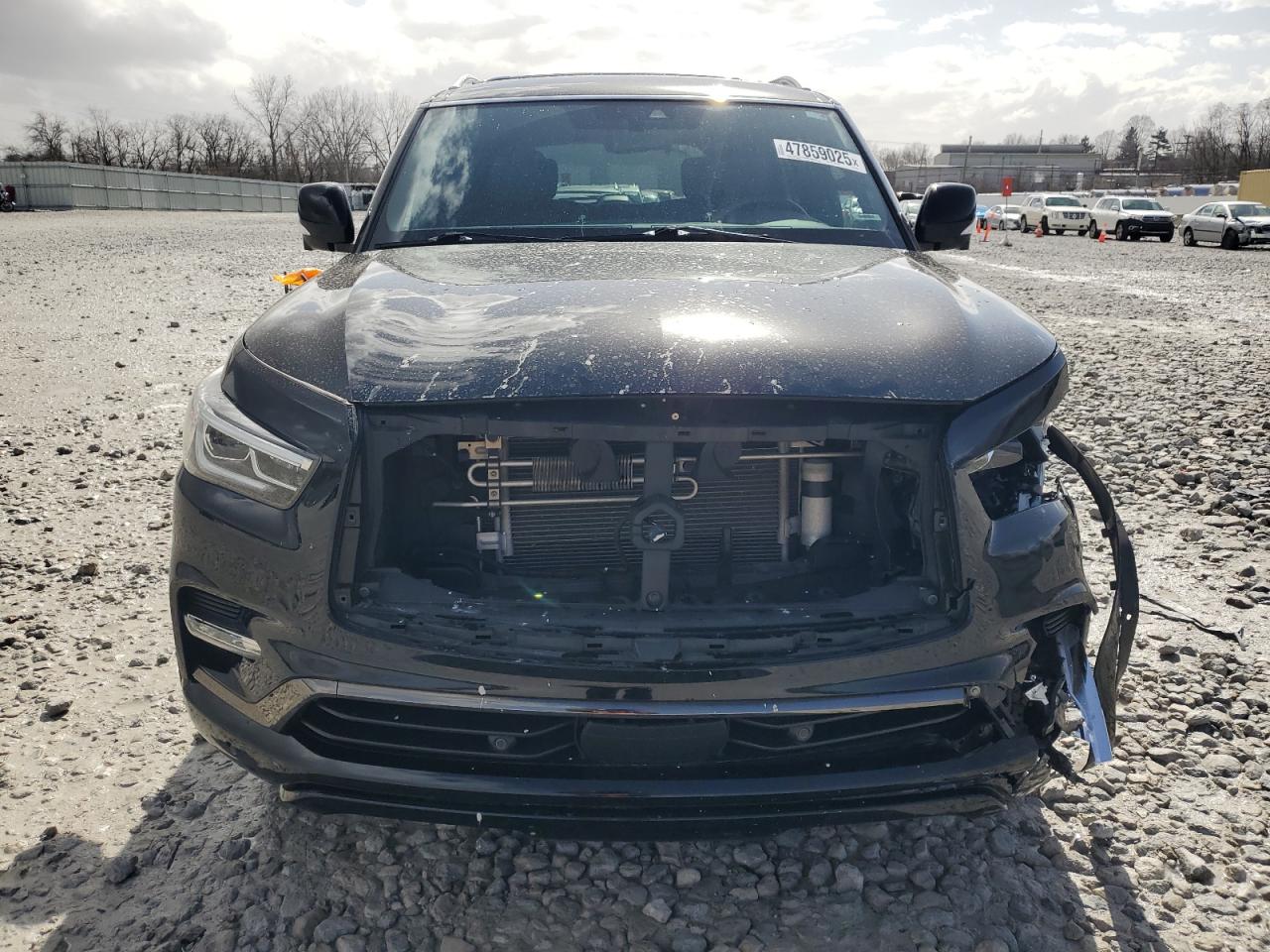 2020 Infiniti QX80 VIN JN8AZ2NE2L9252816 Copart auction photo, front end damage thumbnail 5