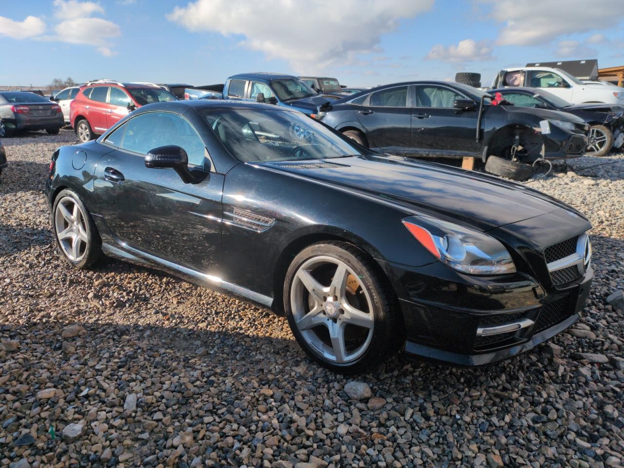 2014 Mercedes-Benz SLK-klasse VIN WDDPK4HA2EF080442 Copart auction photo, side damage thumbnail 4