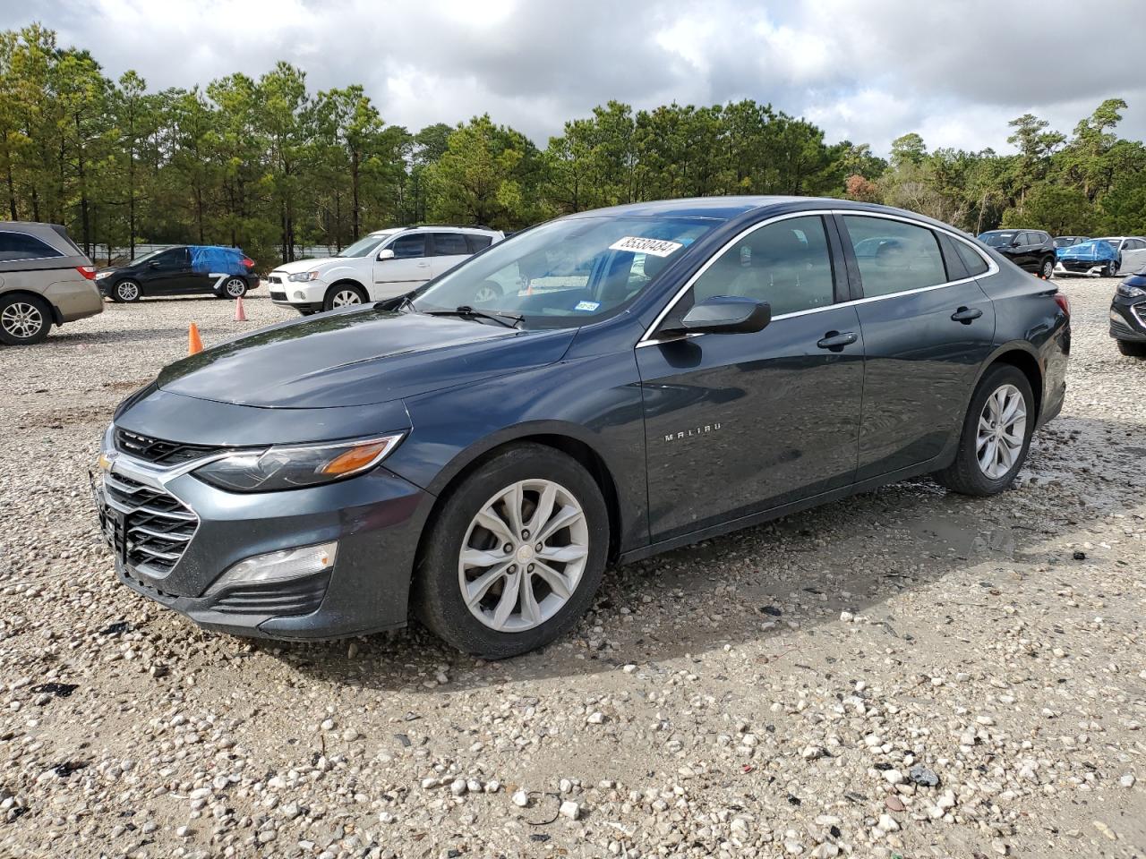 2019 Chevrolet Malibu VIN 1G1ZD5ST0KF170755