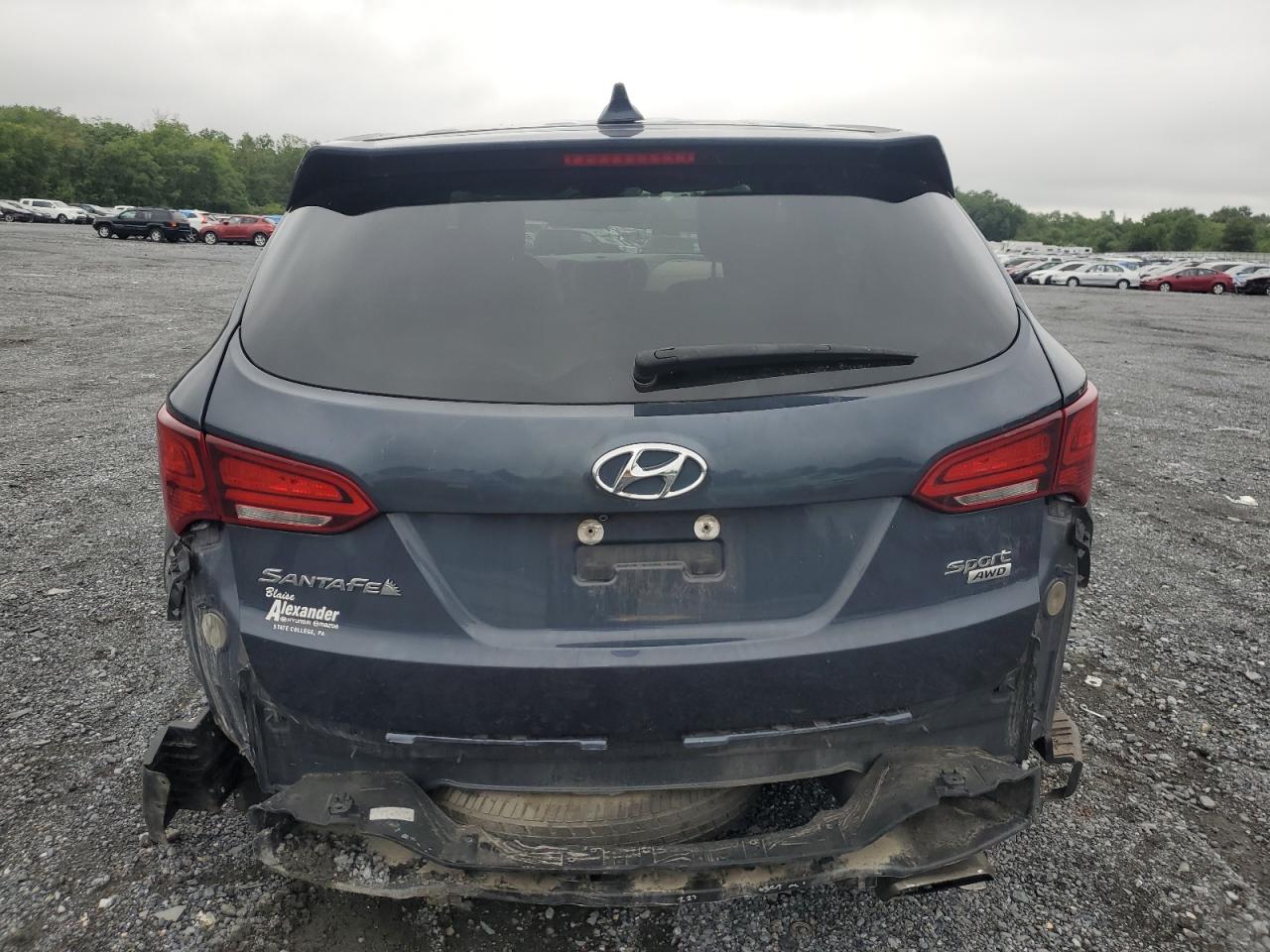2017 Hyundai Santa Fe VIN 5NMZTDLB6HH004861 Copart auction photo, all over damage thumbnail 6