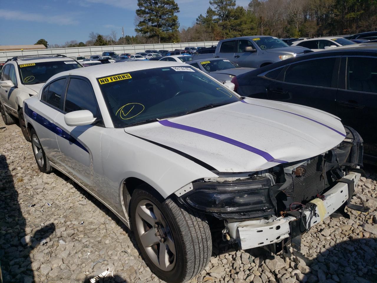 2018 Dodge Charger VIN 2C3CDXAG6JH230309 Copart auction photo, front end damage thumbnail 4