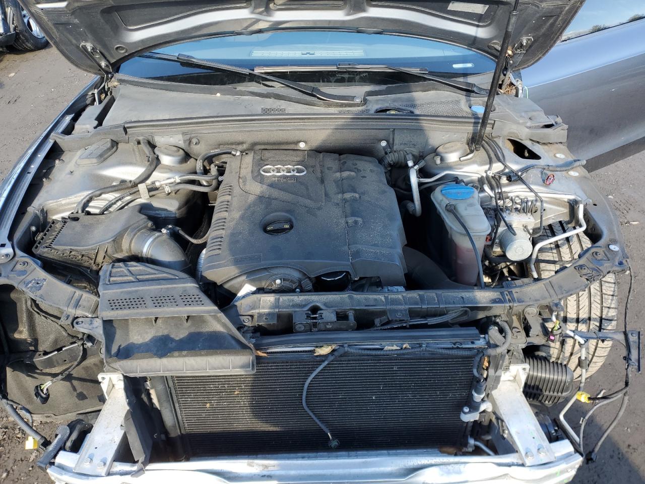 2015 Audi A5 VIN WAUMFAFR9FA019402 Copart auction photo, front end damage thumbnail 11