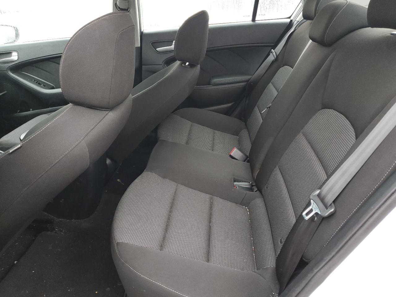 2017 KIA Forte VIN 3KPFK4A73HE029809 Copart auction photo, front end damage thumbnail 10