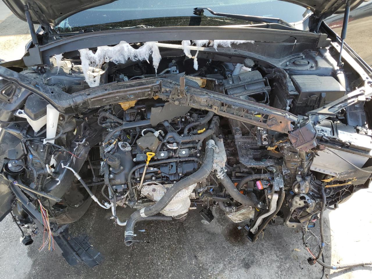 2021 KIA Telluride VIN 5XYP5DHC9MG096734 Copart auction photo, front end / minor dent/scratches damage thumbnail 12
