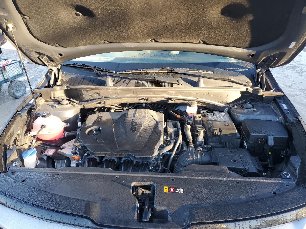 2024 KIA Sportage VIN 5XYK33DF3RG139823 Copart auction photo, rear end / minor dent/scratches damage thumbnail 13