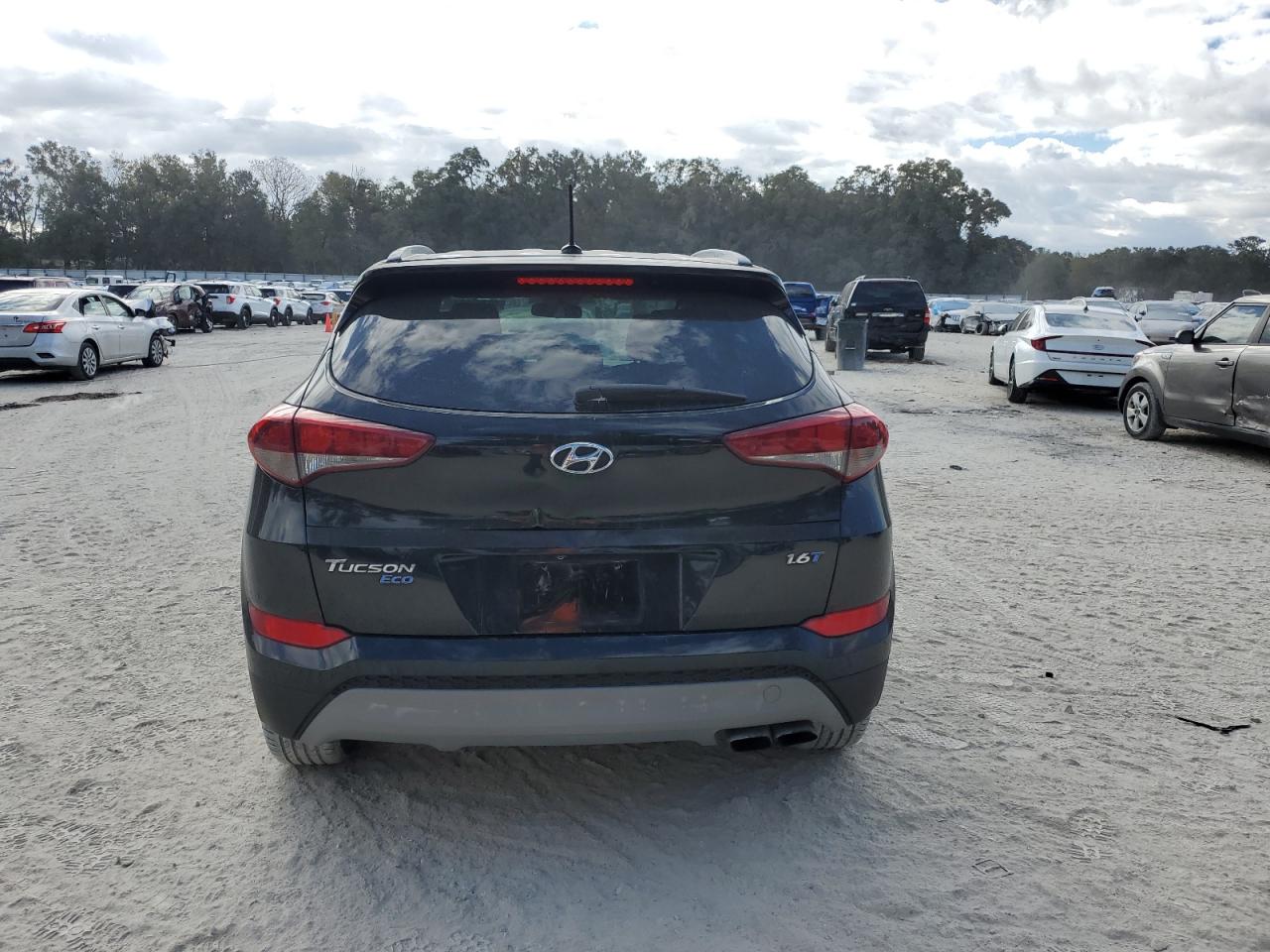 2017 Hyundai Tucson VIN KM8J33A20HU388862 Copart auction photo, front end damage thumbnail 6
